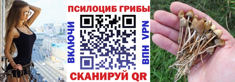 Псилоцибиновые грибы мухоморы Динская